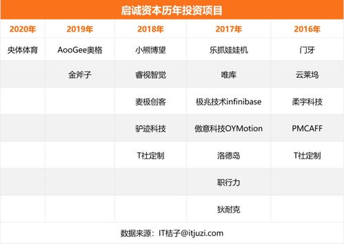 自有資金對外投資 策略、優(yōu)勢與風(fēng)險管控